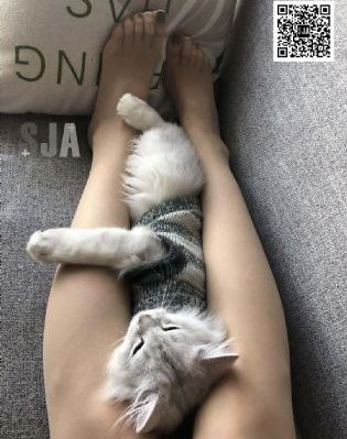 电视免费看