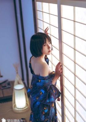 一条狗的回家路免费观看完整版
