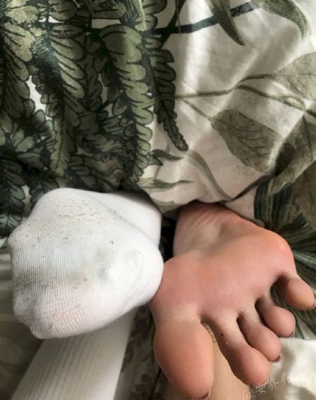 红场飞龙