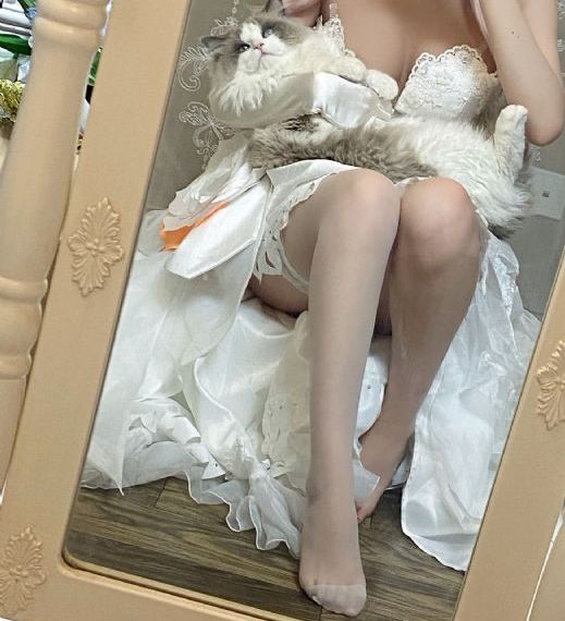 三国机密之潜龙在渊电视剧