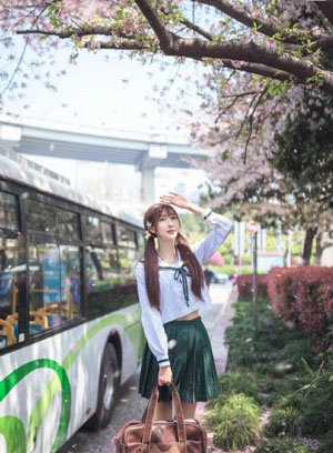 汪汪队动画片全部