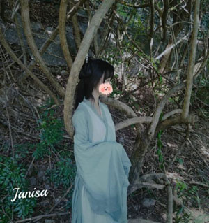 藏海花全集