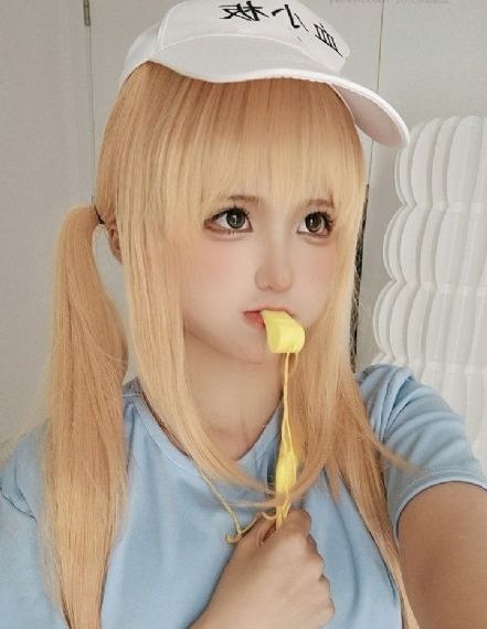 高度契合