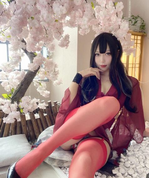 姐姐6电视剧国语版免费观看