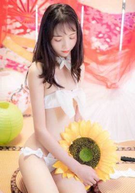 夏天十九岁的肖像